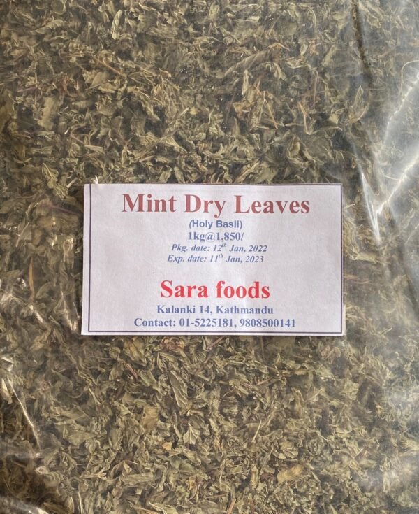 mint.new