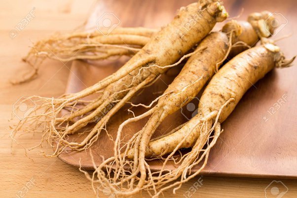 नेपाली जिन्सेंग – ( Nepali Ginseng)