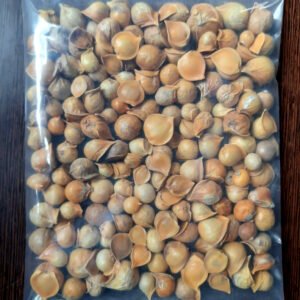 Kashmiri Garlic ( कश्मीरी लसुन )