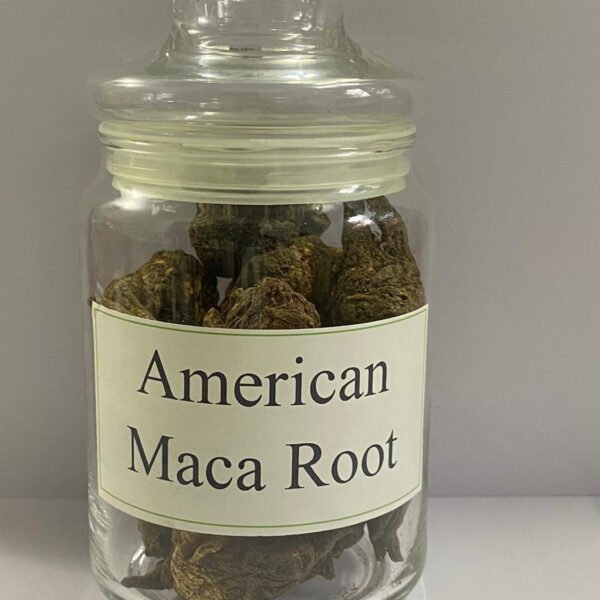 WhatsApp Image 2026-01-02 at 5.09.05 PM