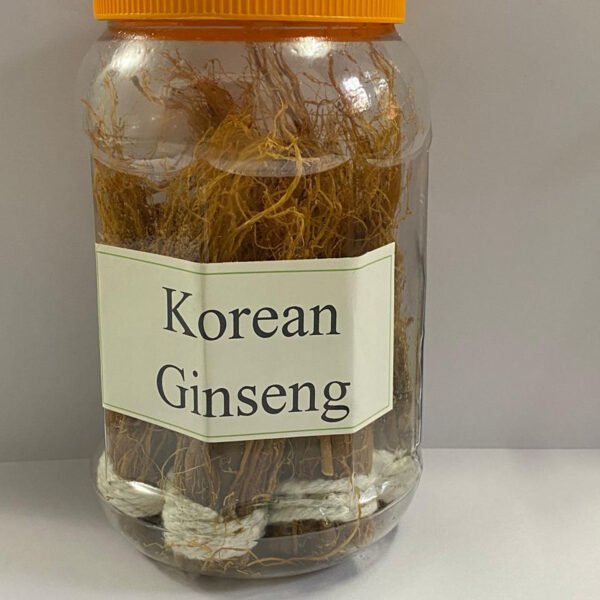 WhatsApp Image 2026-01-02 at 5.09.07 PM (1)