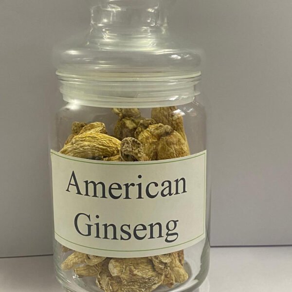 WhatsApp Image 2026-01-02 at 5.09.07 PM