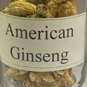 WhatsApp Image 2026-01-02 at 5.09.08 PM (1)