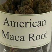 WhatsApp Image 2026-01-02 at 5.09.09 PM (1)