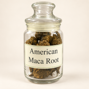 American Maca Root in a clear glass jar on a warm white studio background