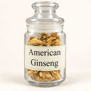 American Ginseng roots in a clear glass jar on a clean studio background