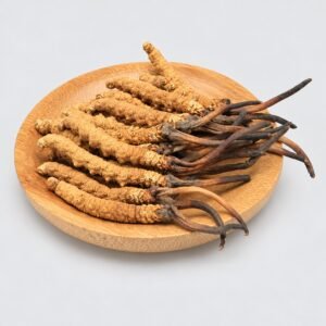 Yarsagumba – authentic studio product photograph