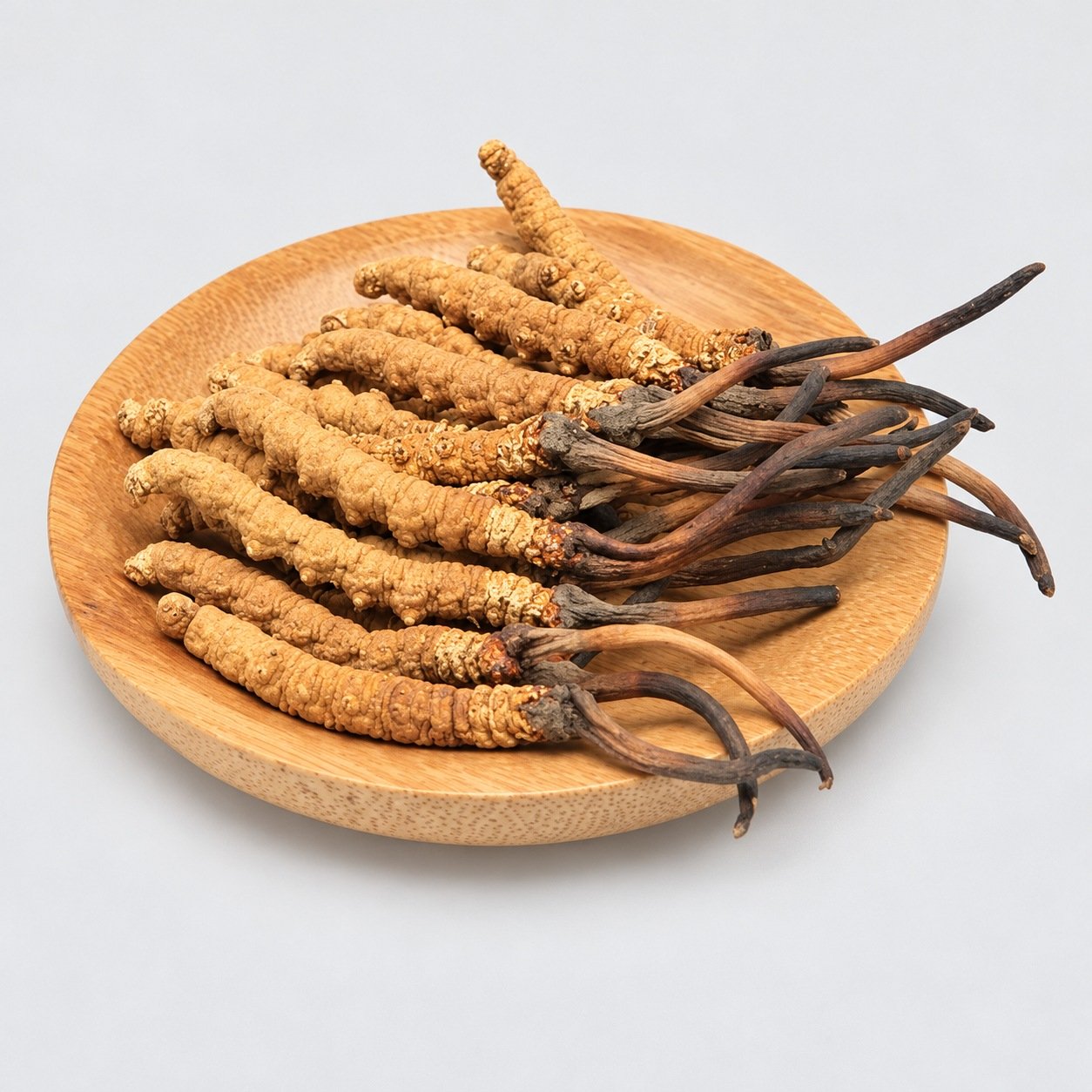 Yarsagumba – authentic studio product photograph